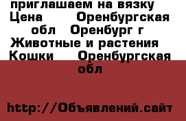 приглашаем на вязку  › Цена ­ 0 - Оренбургская обл., Оренбург г. Животные и растения » Кошки   . Оренбургская обл.